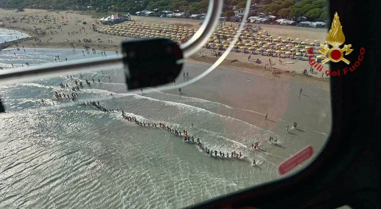 carlo panizzo perch233 i bagnanti di cavallino avevano creato una catena umana per cercarlo in mare il corpo a 100 metri dalla riva