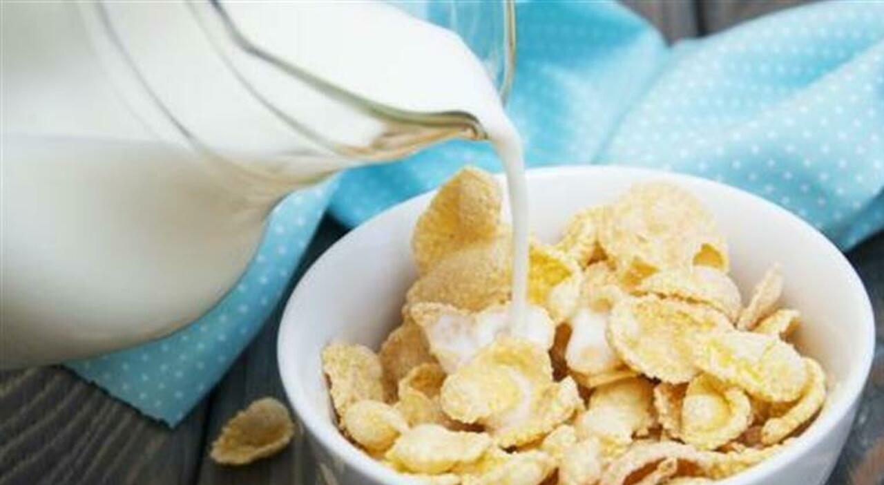 https://statics.cedscdn.it/photos/MED_HIGH/2025/08/12/9009588_12172134_cereali_colazione_classifica_altroconsumo_migliori_peggiori_top_flop_oggi_13_8_2025.jpg