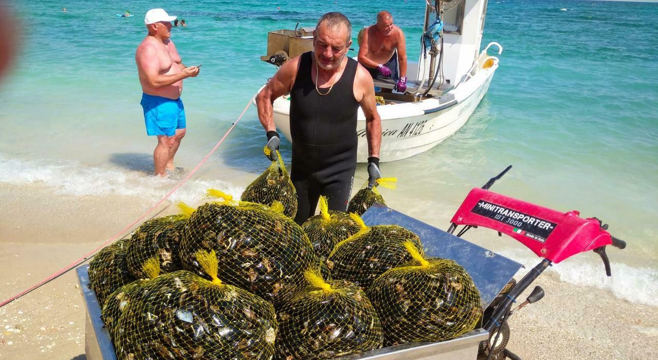 Moscioli al lumicino, boa 2.0 per salvarli e ristori ai pescatori: 310mila euro alle aziende penalizzate Moscioli al lumicino, boa 2.0 per salvarli e ristori ai pescatori: 310mila euro alle aziende penalizzate
