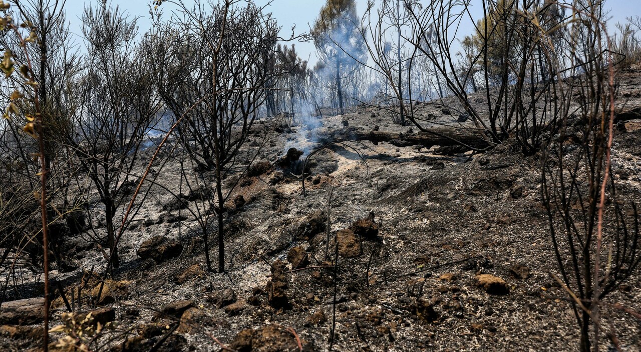 incendio sul vesuvio ora assenza di focolai attivi