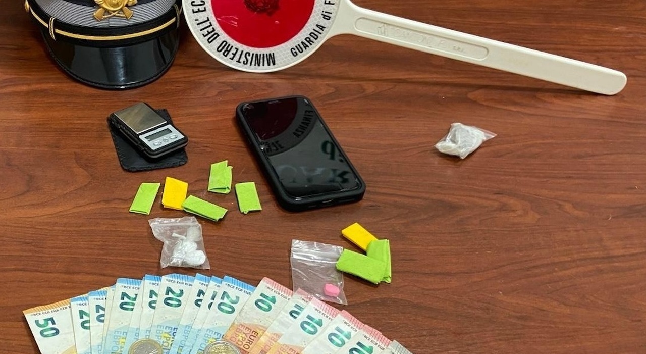 Operazione Speciale nel Sannio: la Guardia di Finanza Confisca Enormi Quantitativi di Droga
