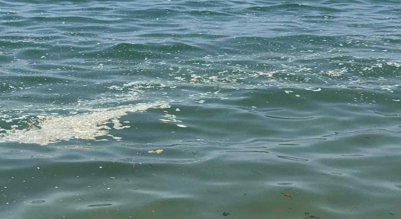 macchie e schiuma altre segnalazioni a baia domizia il mistero sinfittisce
