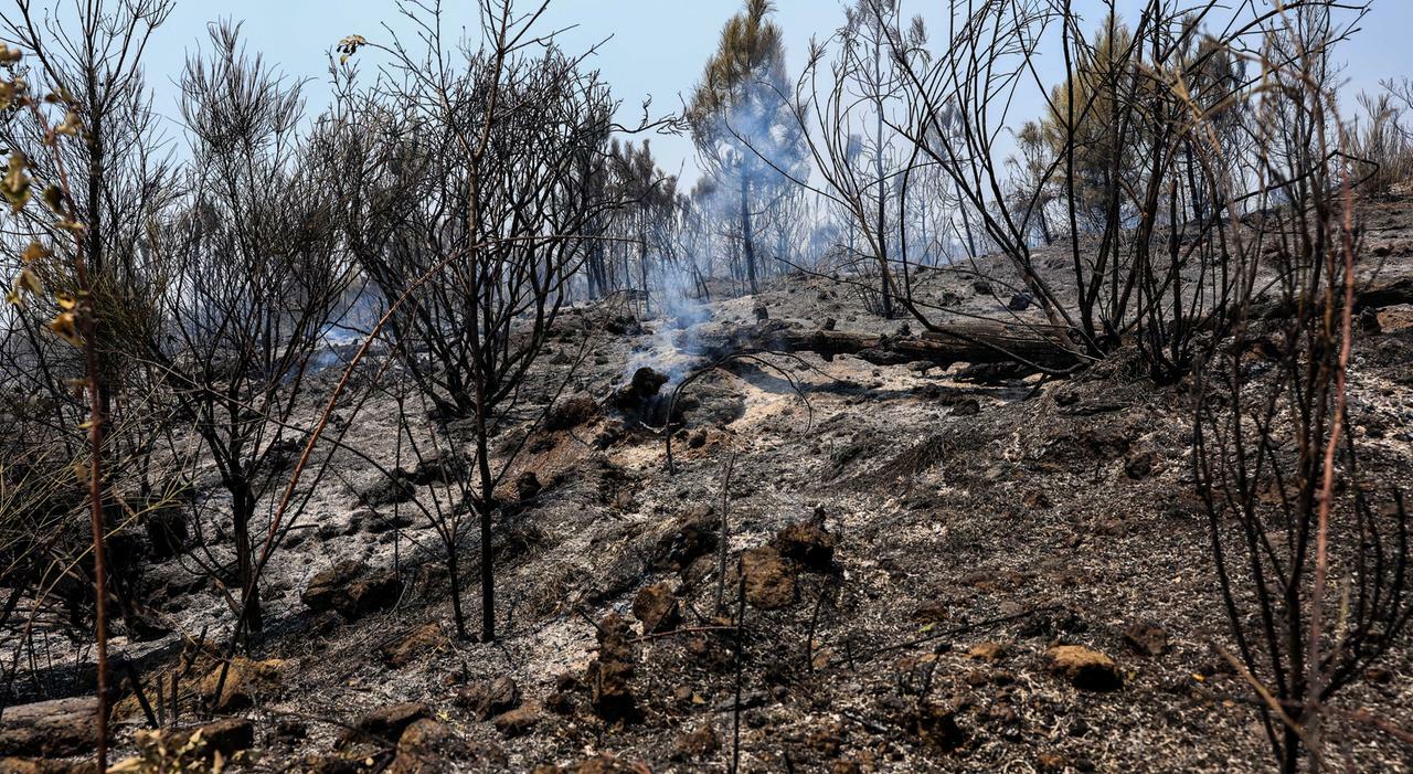 L?anatema del vescovo: «Roghi, offesa al Creato»