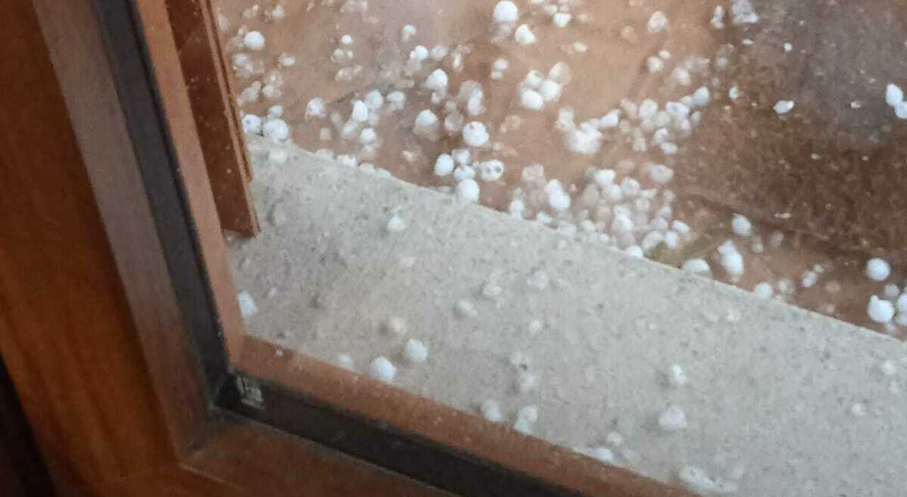 Grandinata in provincia di Napoli e Benevento, la Cia: «Compromessi vigneti e oliveti»
