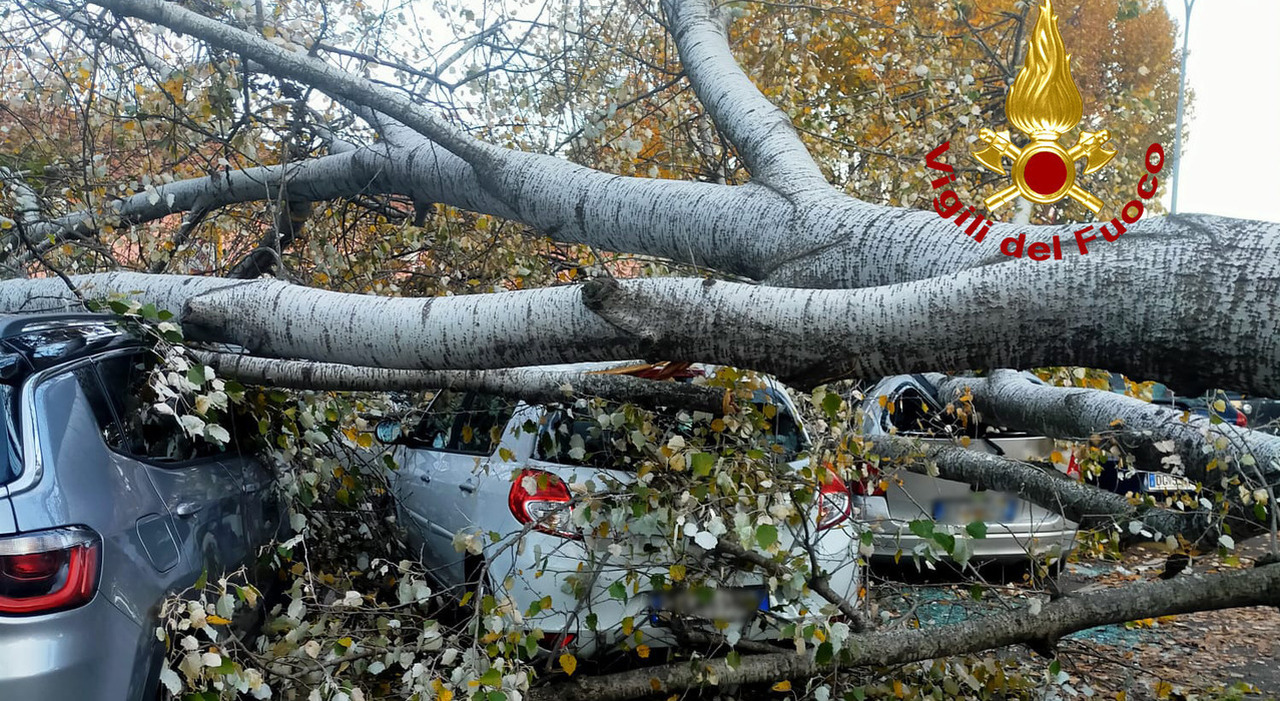 Maltempo, albero crolla su un