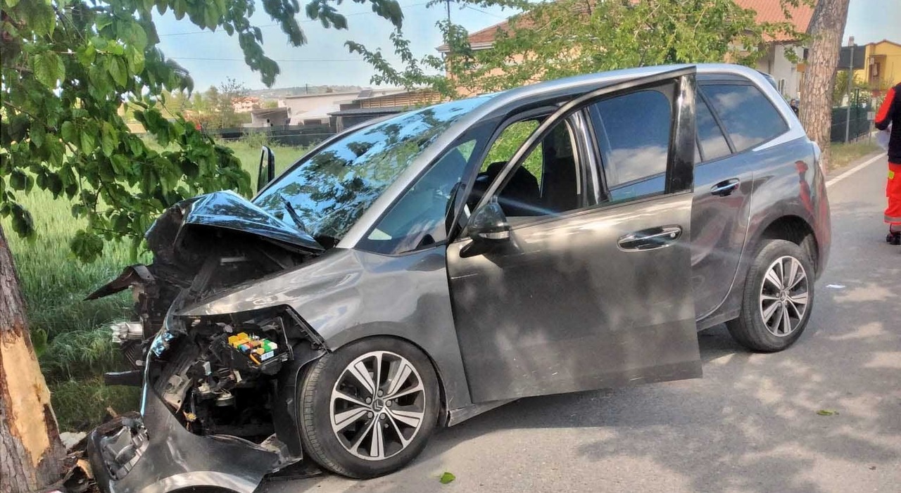 Maltempo a Matera, albero cade su auto: un morto e tre feriti in gravi condizioni