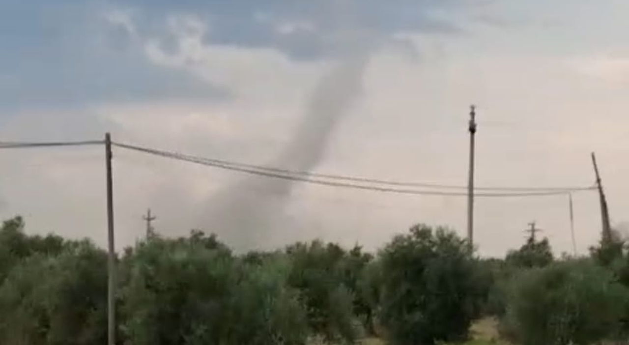 Maltempo, pioggia e vento sulla città. Tromba d