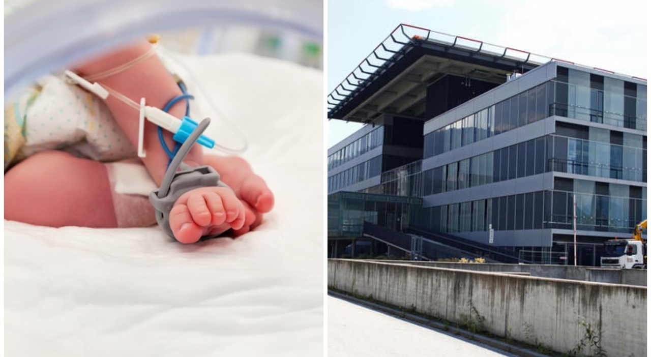 neonati morti a bolzano il batterio killer forse trasmesso dal sapone per i piatti detergente sospeso in tutti gli ospedali