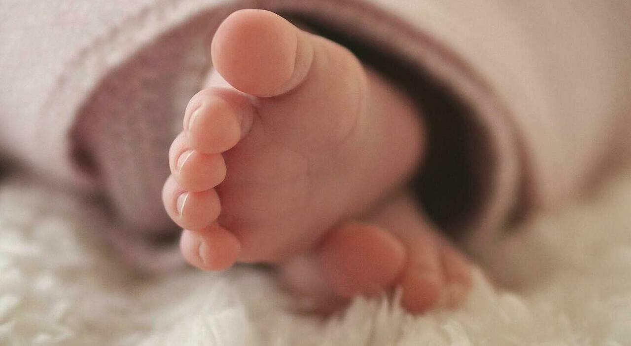 https://statics.cedscdn.it/photos/MED_HIGH/2025/08/18/9018448_18200604_noenata.jpg