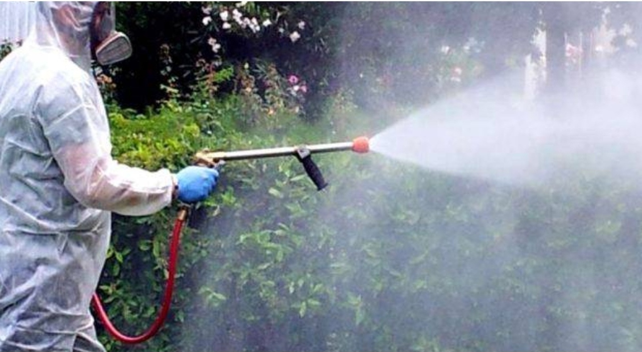 west nile l italia il paese europeo pi249 colpito 80 dei casi e 274 infezioni registrate