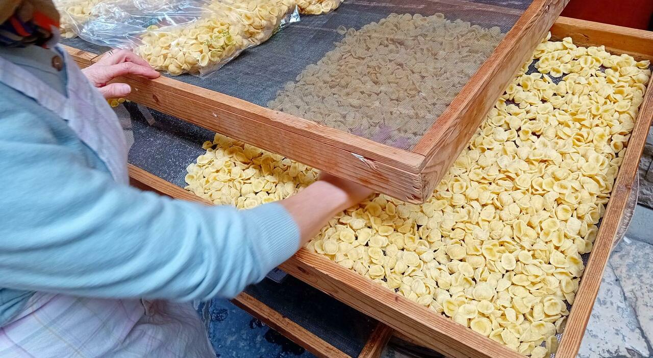 Orecchiette, imprenditori turistici preoccupati: «L Orecchiette, imprenditori turistici preoccupati: «L