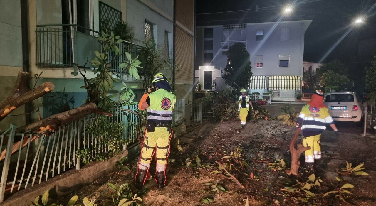 Bomba d