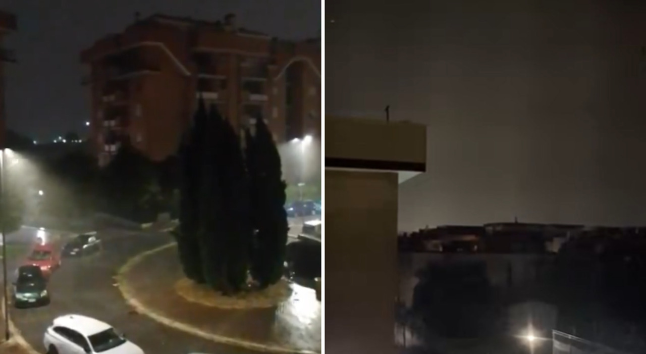 violento temporale su roma nella notte piante sradicate e insegne pericolanti oltre 100 interventi dei vigili del fuoco