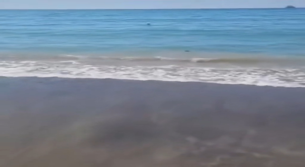 https://statics.cedscdn.it/photos/MED_HIGH/2025/08/21/9023293_21101333_myfilename.jpg