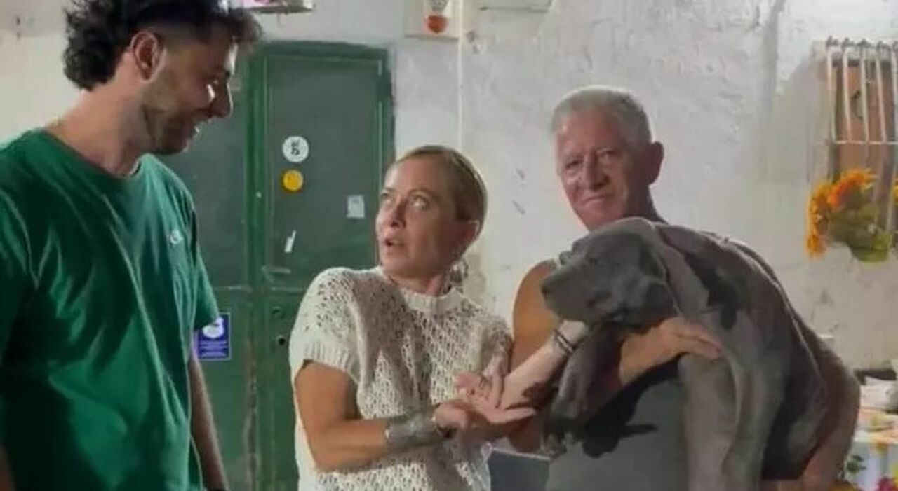 Meloni in Puglia va in un allevamento di cani corso: «Eccellenza italiana»
