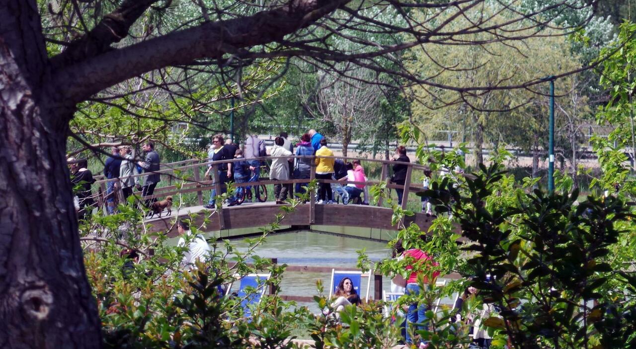 Marchionna: «Il Cillarese come Villa Borghese». Pronto l?accordo con ?Energreen? Marchionna: «Il Cillarese come Villa Borghese». Pronto l?accordo con ?Energreen?
