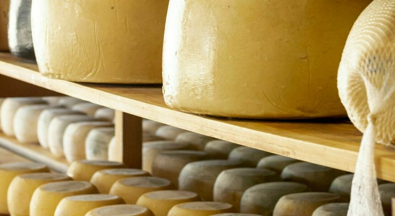 Bimbo di un anno mangia formaggio da latte crudo, è grave in ospedale. Ha sviluppato la Seu: cos Bimbo di un anno mangia formaggio da latte crudo, è grave in ospedale. Ha sviluppato la Seu: cos