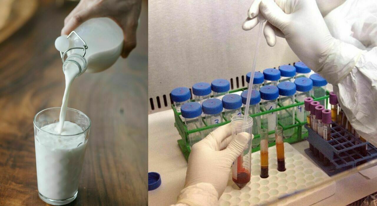 ricoverato per il latte crudo il pap224 di mattia maestri 47 farmaci al giorno respira e basta la sua non 232 vita quei bambini non guariranno