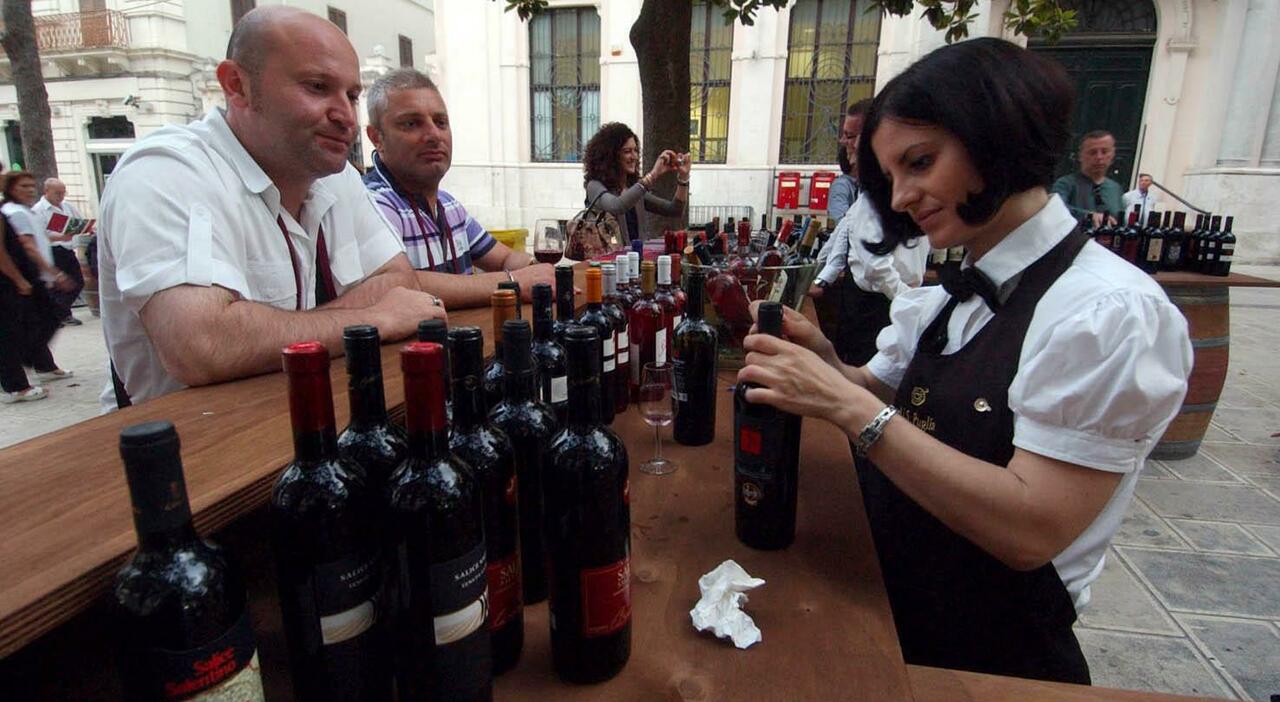 susumaniello il master a mesagne i produttori vitivinicoli unoccasione persa per brindisi