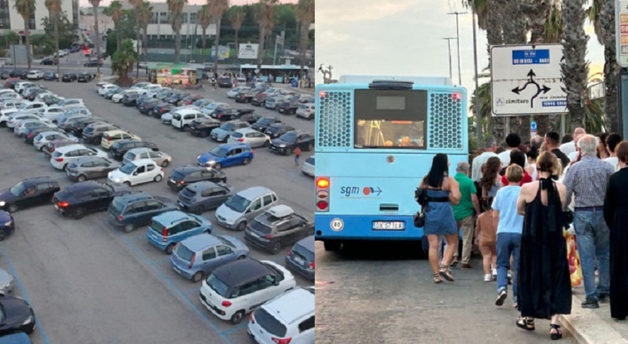 Lecce, parcheggi e navette pieni per la festa dei Santi patroni: «Un sistema da replicare» Lecce, parcheggi e navette pieni per la festa dei Santi patroni: «Un sistema da replicare»