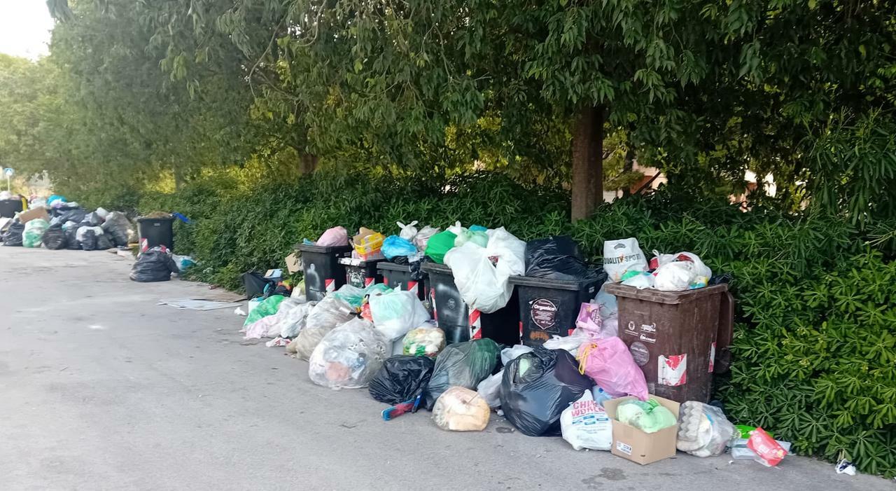 Emergenza discariche abusive a Bari. Periferie ?soffocate? dai rifiuti. L?assessore: «Danno per la città»