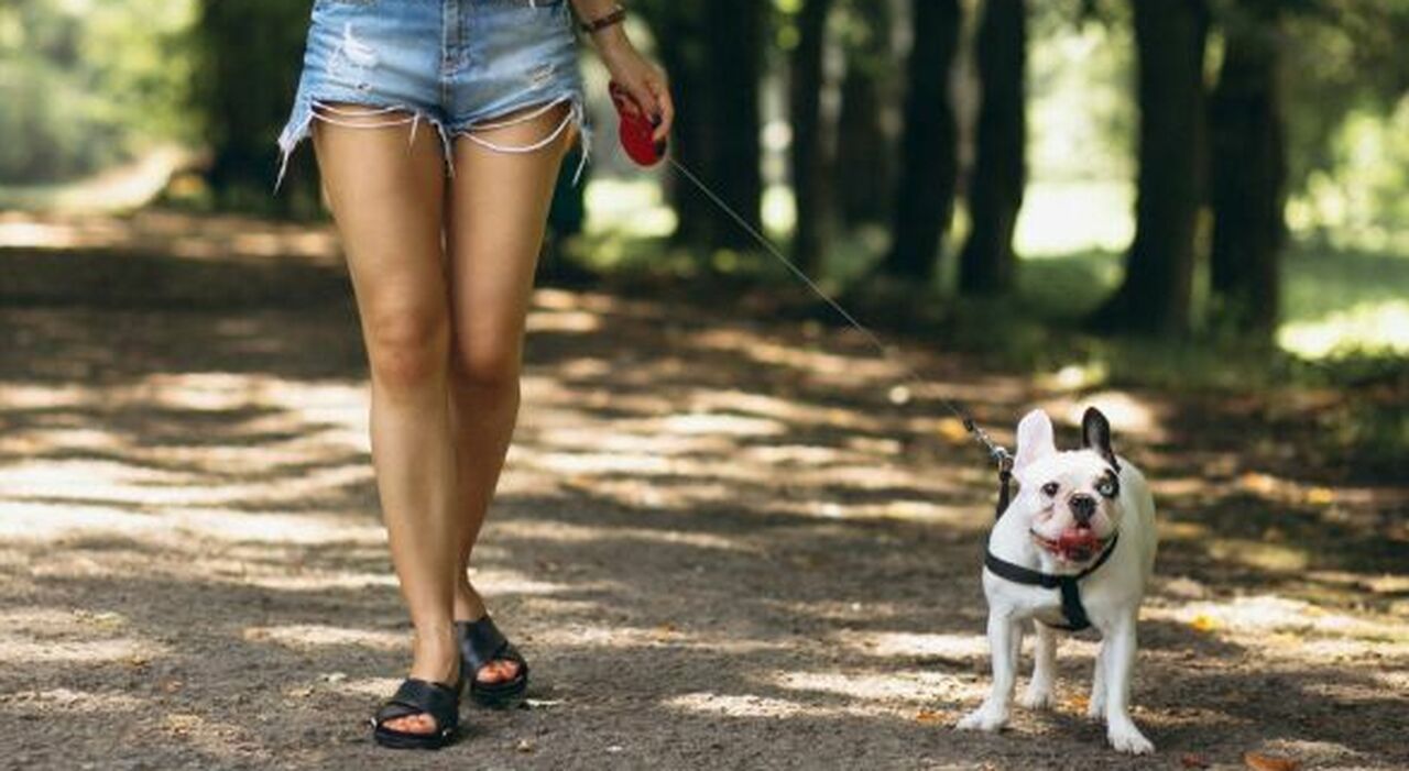 https://statics.cedscdn.it/photos/MED_HIGH/2025/08/25/9029922_25104338_violentata_rapinata_parco_tor_tre_teste_cane_caccia_uomo_roma_oggi_25_8_2025.jpg