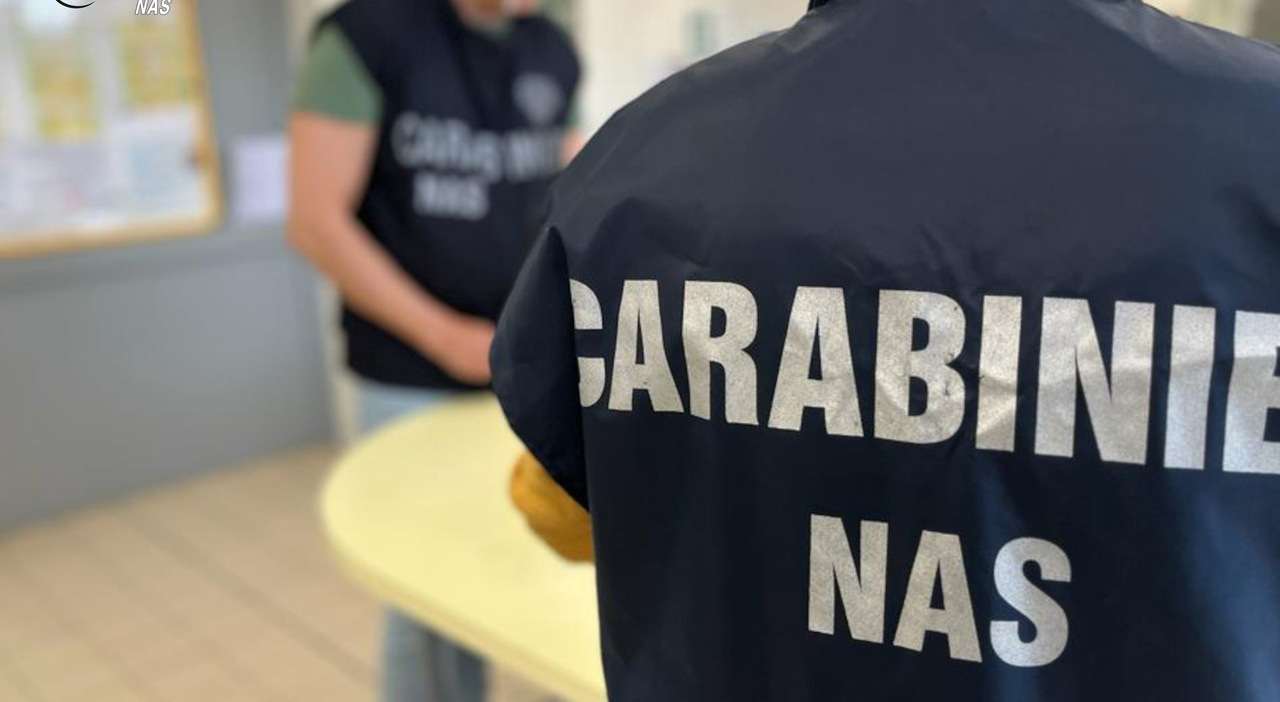 Nelle cucine escrementi di topi, blatte e insetti morti: blitz del Nas nei ristoranti delle Marche. Attività chiuse e multe Nelle cucine escrementi di topi, blatte e insetti morti: blitz del Nas nei ristoranti delle Marche. Attività chiuse e multe