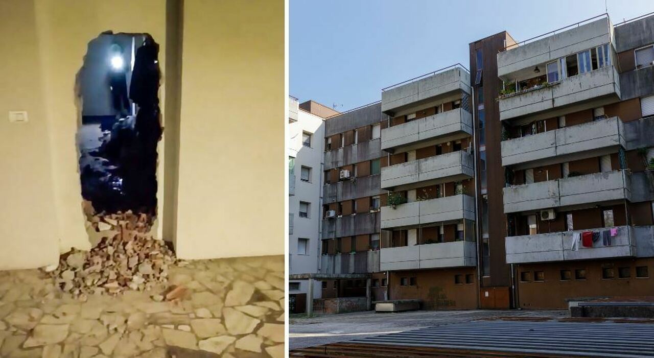 Sfondano il muro a colpi di mazza da baseball e occupano una casa. Residenti terrorizzati: «Sono aggressivi, abbiamo paura a uscire»