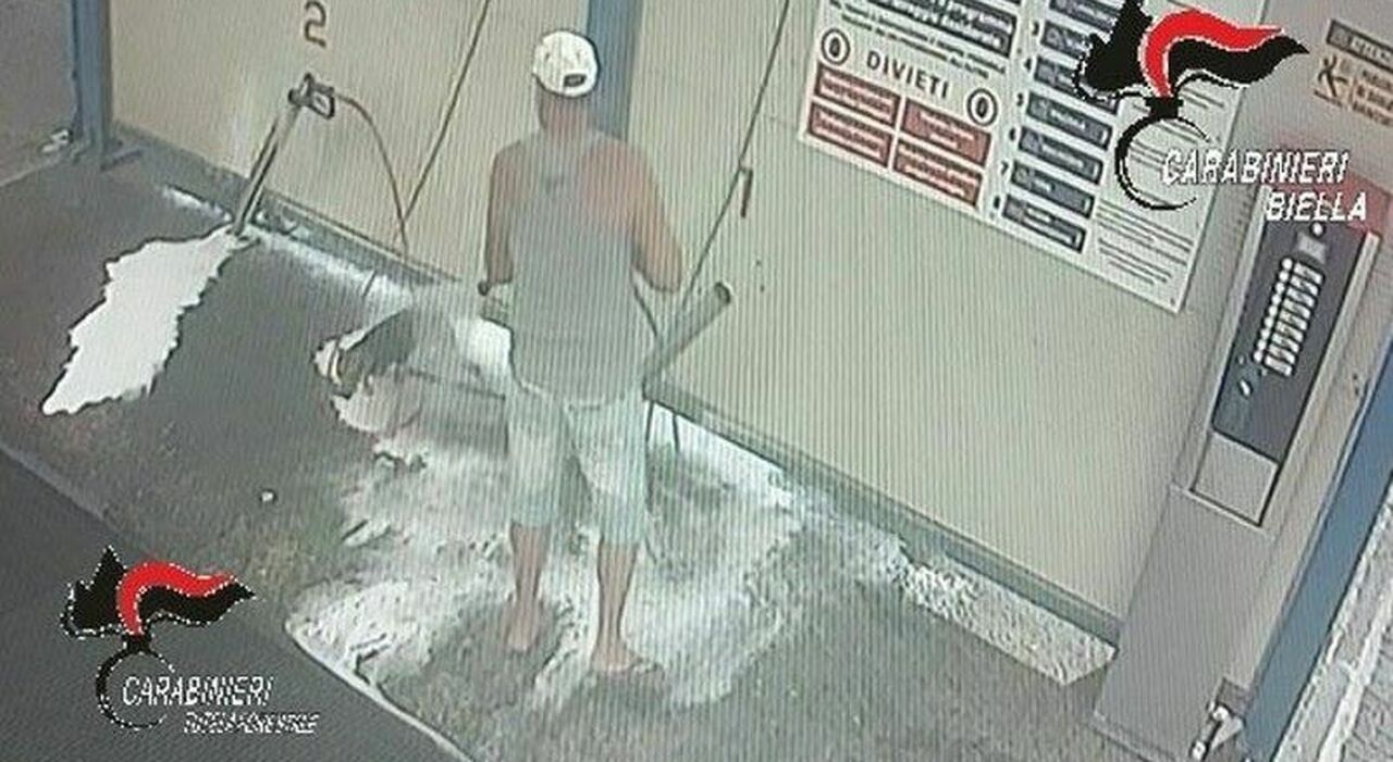 https://statics.cedscdn.it/photos/MED_HIGH/2025/08/27/9033796_27150727_lava_cane_autolavaggio_biella_denunciato_proprietario_maltrattamenti_animali_oggi_27_8_2025.jpg