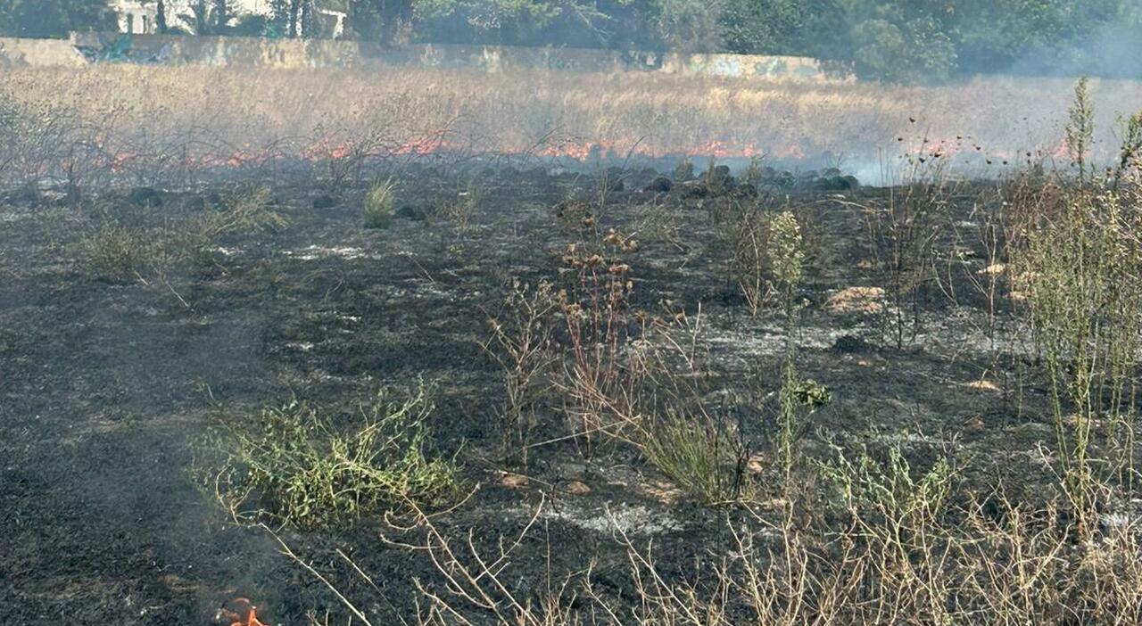 tragedia in puglia 73enne muore nell incendio del suo terreno