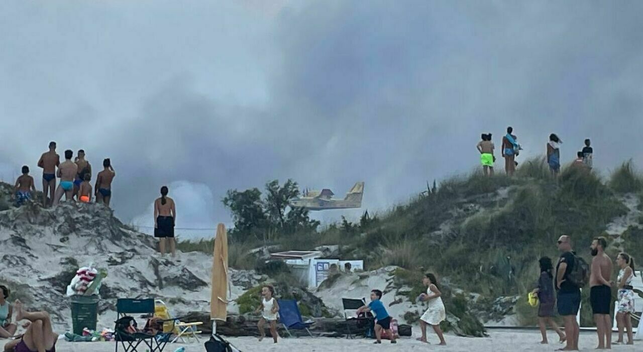 Incendio nel Salento tra spiagge e case vacanze: scoppia il panico tra turisti e residenti, evacuate decine di persone Incendio nel Salento tra spiagge e case vacanze: scoppia il panico tra turisti e residenti, evacuate decine di persone