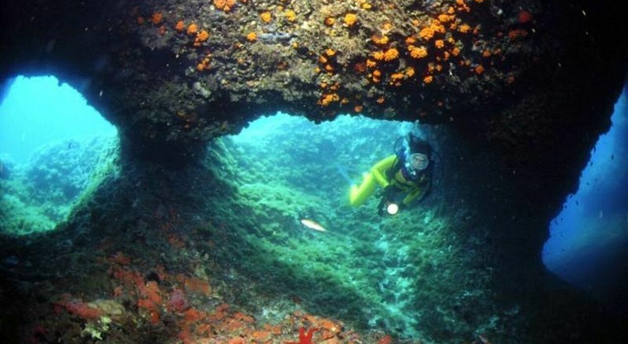 e in salento la localit224 pi249 amata in europa dagli appassionati di snorkeling ecco quale