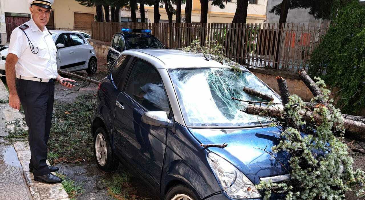 https://statics.cedscdn.it/photos/MED_HIGH/2025/08/30/9039542_30134714_maltempo_salento_alberi_caduti_allagamenti_tromba_aria_auto_danneggiate_cosa_succede.jpg