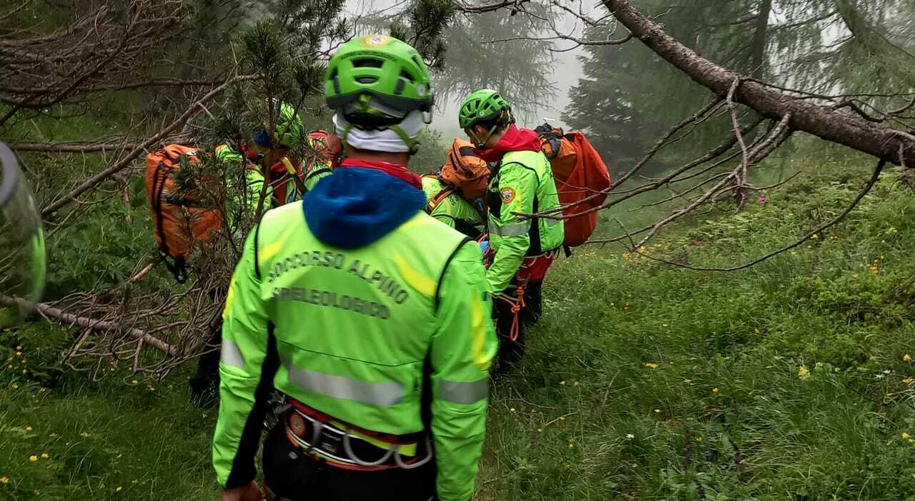 Anziana scompare nel bosco. Lei e il marito si addormentano in auto, quando lui si sveglia lei non c Anziana scompare nel bosco. Lei e il marito si addormentano in auto, quando lui si sveglia lei non c