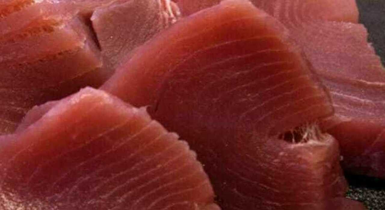 Nausea, mal di stomaco e rush cutanei: 11 intossicati a Cagliari dopo il pranzo a base di tonno al bar