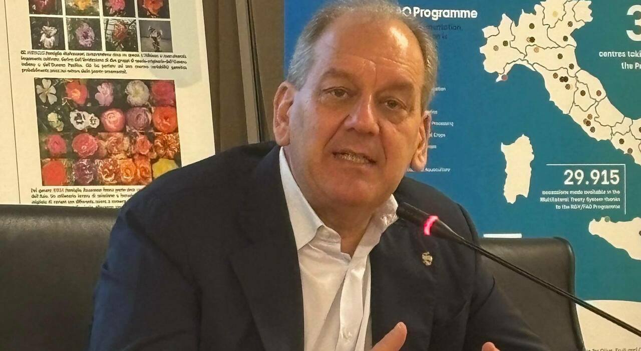 Fermo pesca, il sottosegretario La Pietra: «La decisione è stata presa insieme agli operatori» Fermo pesca, il sottosegretario La Pietra: «La decisione è stata presa insieme agli operatori»
