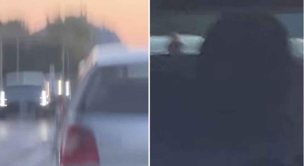 «Donna presa botte da un uomo mentre guida», la denuncia di Alberto Stefani (Lega) che li insegue fino all «Donna presa botte da un uomo mentre guida», la denuncia di Alberto Stefani (Lega) che li insegue fino all