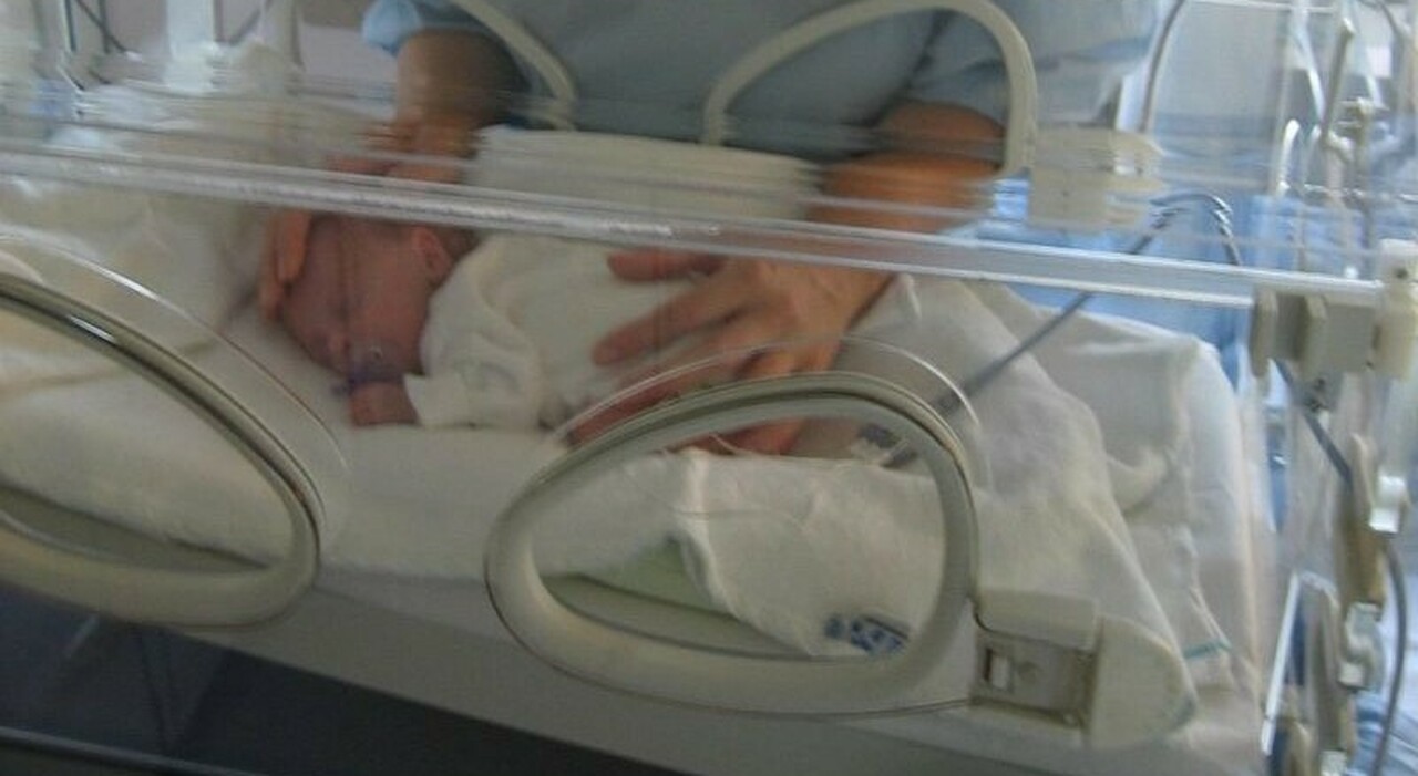https://statics.cedscdn.it/photos/MED_HIGH/2025/09/04/9048594_04153040_baby_218149_1280.jpg