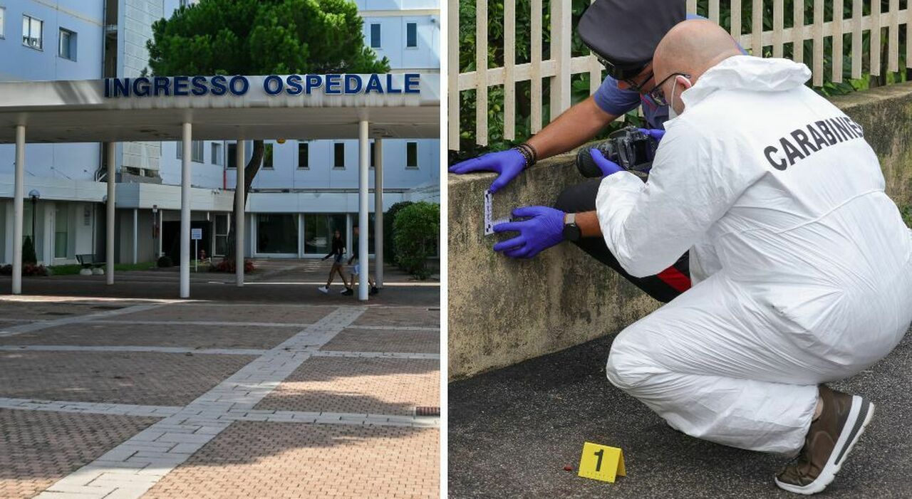 turista accoltellata indagato per tentato omicidio il 25enne sospettato della violenta aggressione