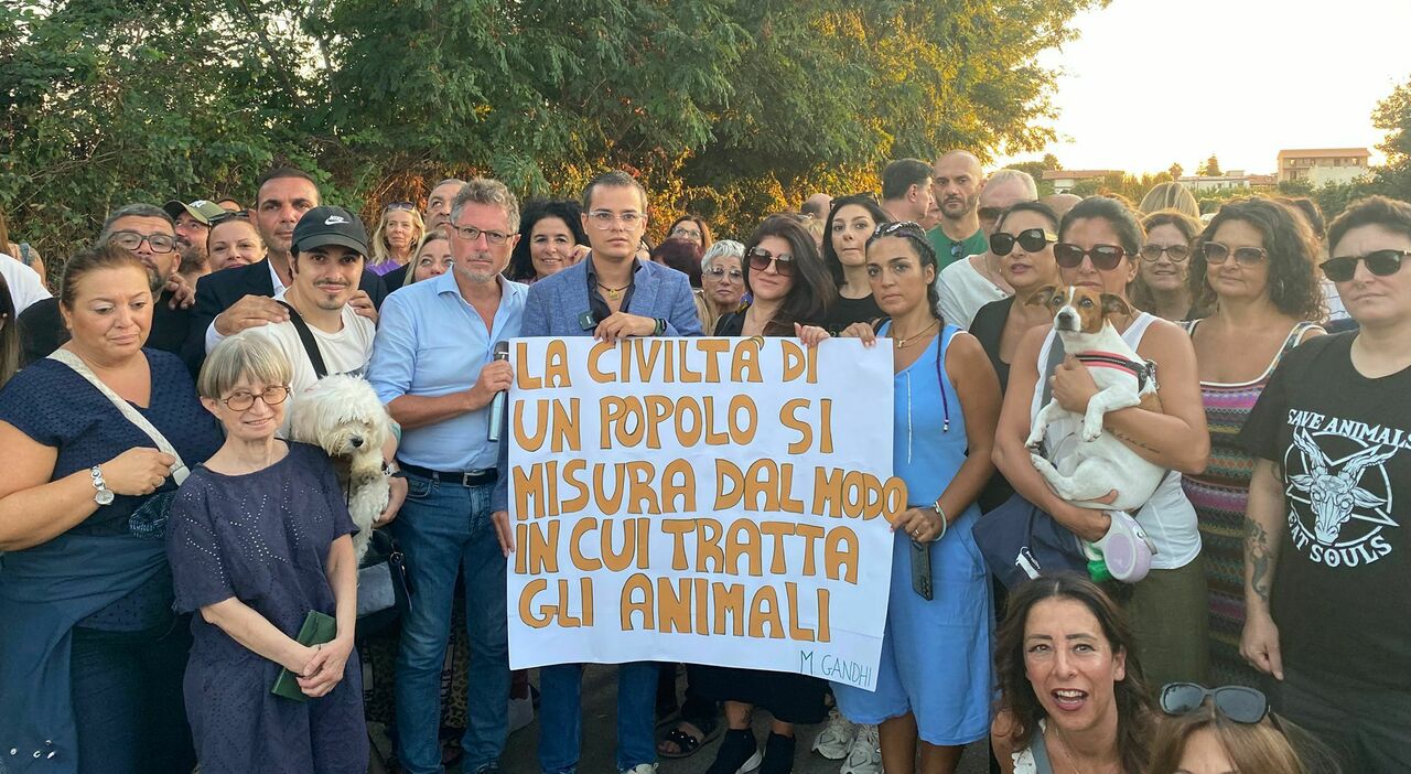 Varcaturo, protesta per il cane lasciato morire dai padroni partiti per le vacanze Varcaturo, protesta per il cane lasciato morire dai padroni partiti per le vacanze