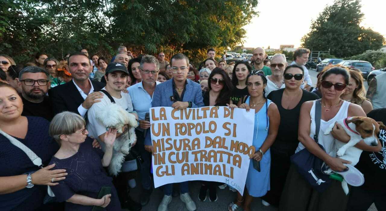 https://statics.cedscdn.it/photos/MED_HIGH/2025/09/07/9052825_07012225_whatsapp_image_2025_09_06_at_19.22.45.jpg