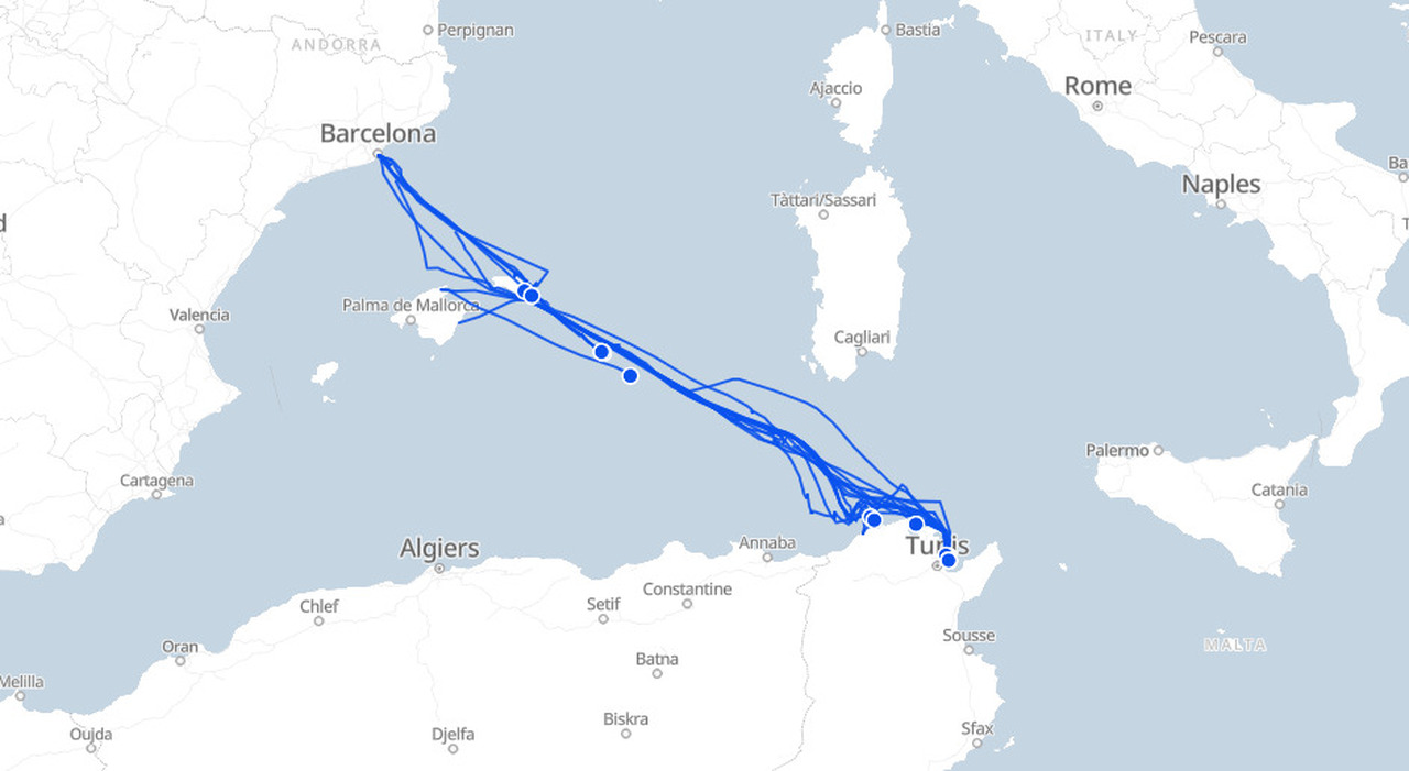 Global Sumud Flotilla live tracker: dove si trova ora, come seguire il viaggio delle navi (in tempo reale) e chi c Global Sumud Flotilla live tracker: dove si trova ora, come seguire il viaggio delle navi (in tempo reale) e chi c