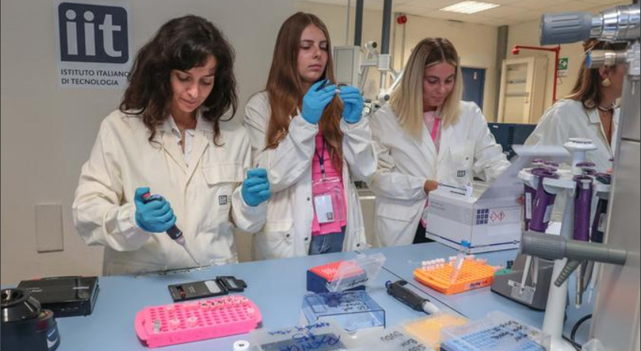 Organi su chip, Napoli fulcro della rivoluzione biomedica