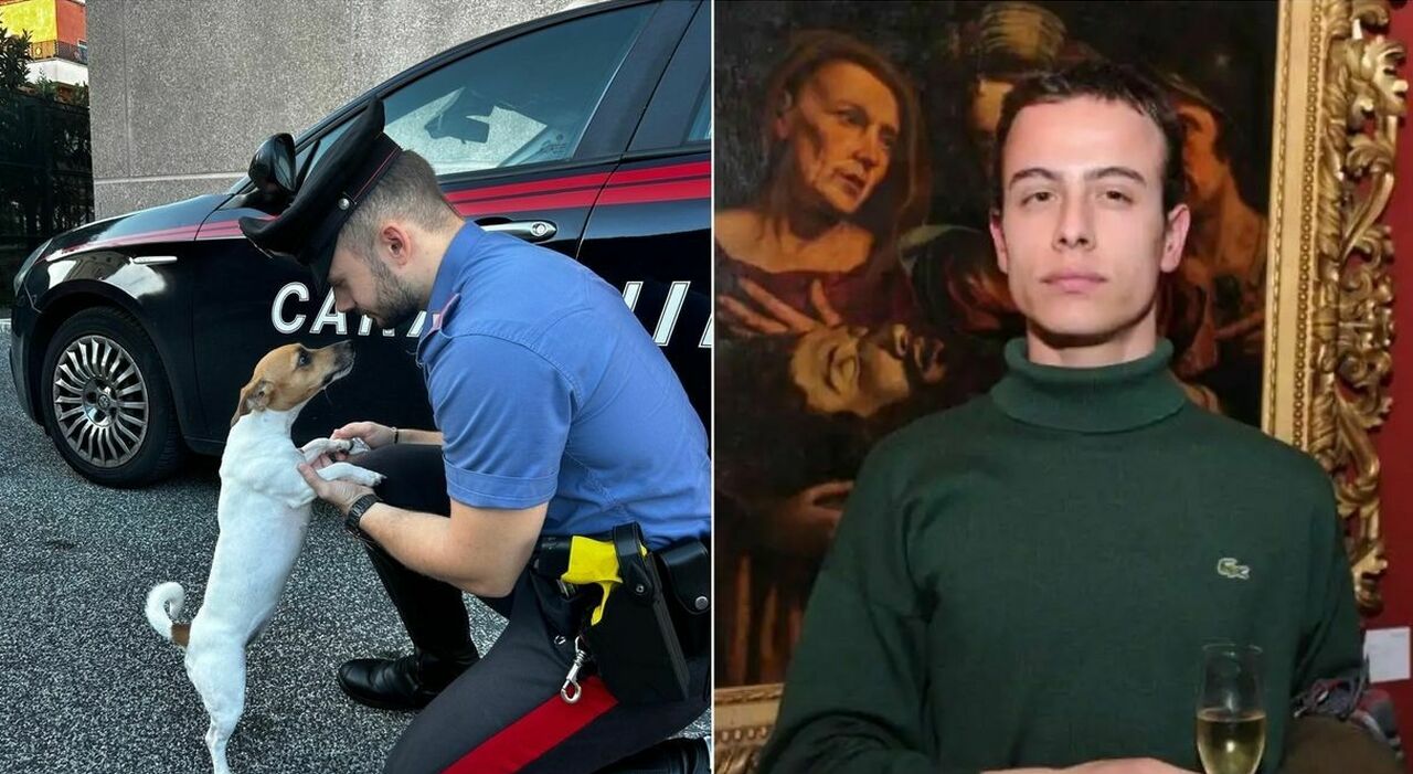 https://statics.cedscdn.it/photos/MED_HIGH/2025/09/16/9071048_16120944_robert_filo_della_torre_conte_denunciato_maltrattamenti_animale_cane_lanciato_roma_oggi_16_settembre_2025.jpg
