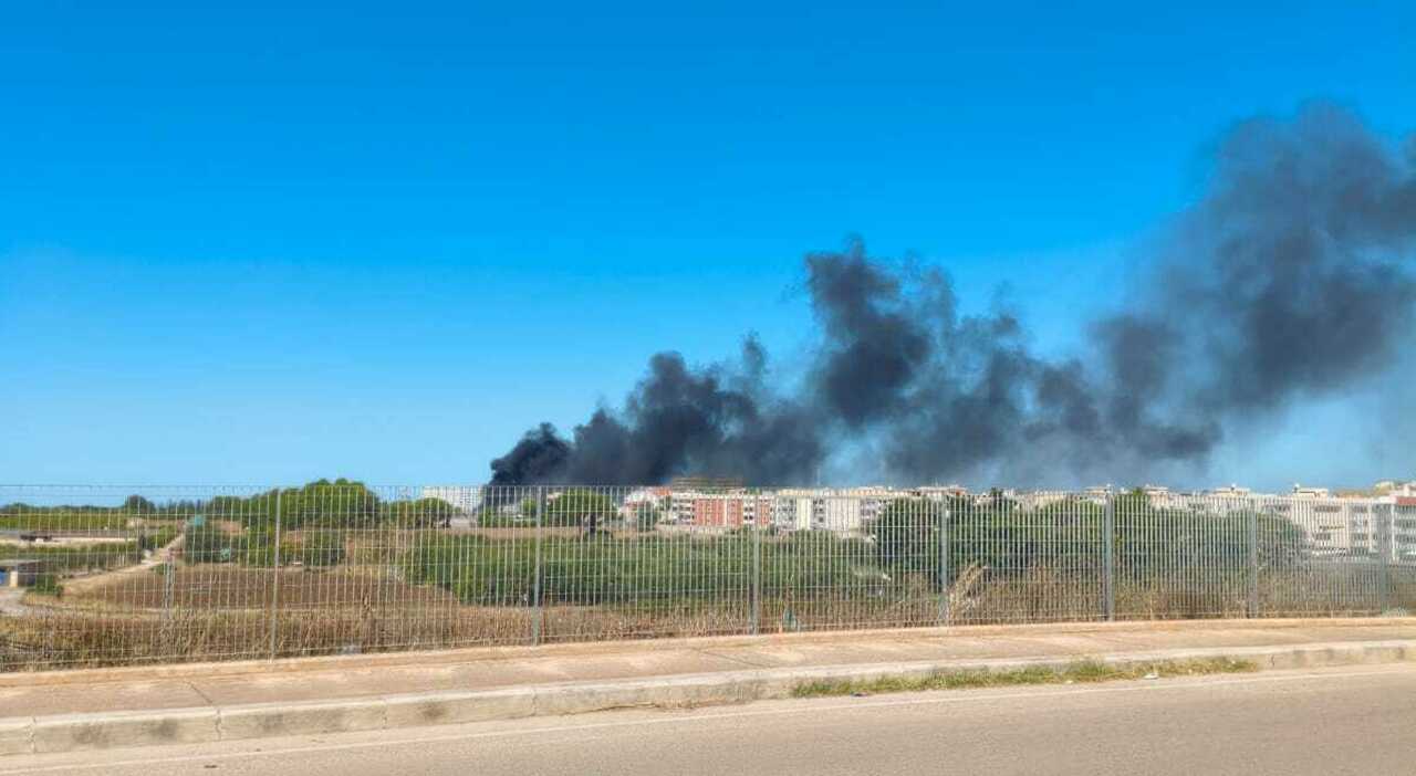 Bus con a bordo degli studenti prende fuoco: paura a Casamassima