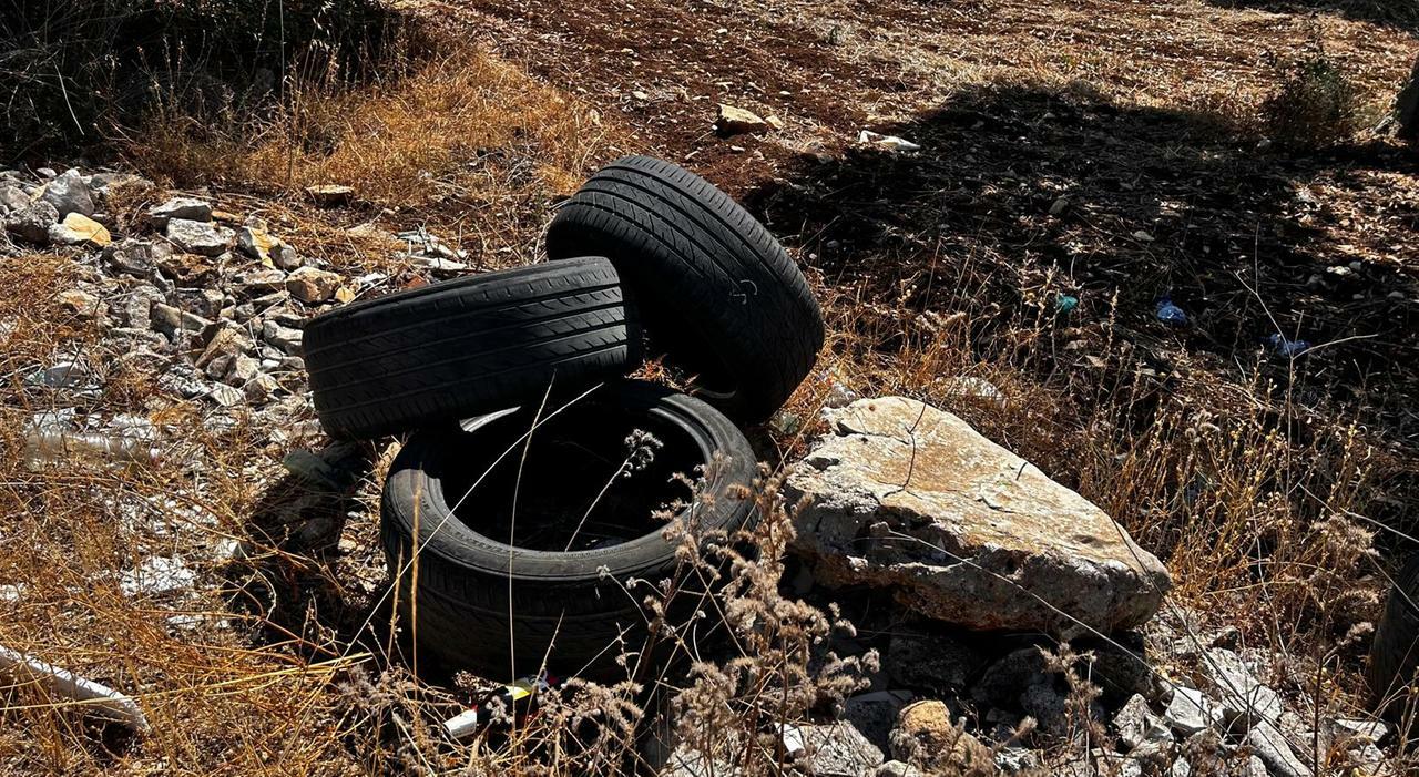 Bari, campagne invase dai rifiuti: al via il piano da 6 milioni Bari, campagne invase dai rifiuti: al via il piano da 6 milioni