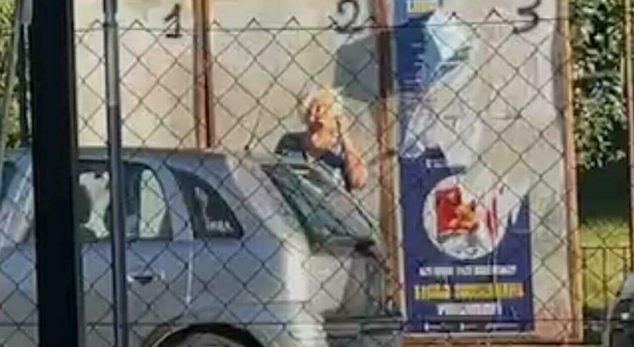 cartelli elettorali strappati la teppista 232 una 65enne filmata da cittadini increduli mentre ripeteva il gesto a chiaravalle