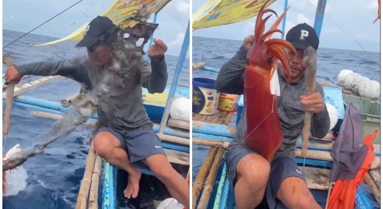 https://statics.cedscdn.it/photos/MED_HIGH/2025/09/18/9075892_18205617_pesca_calamaro_gigante_ma_l_animale_si_difende_pescatore_ricoperto_di_inchiostro_vid_oggi_18_9_2025.jpg