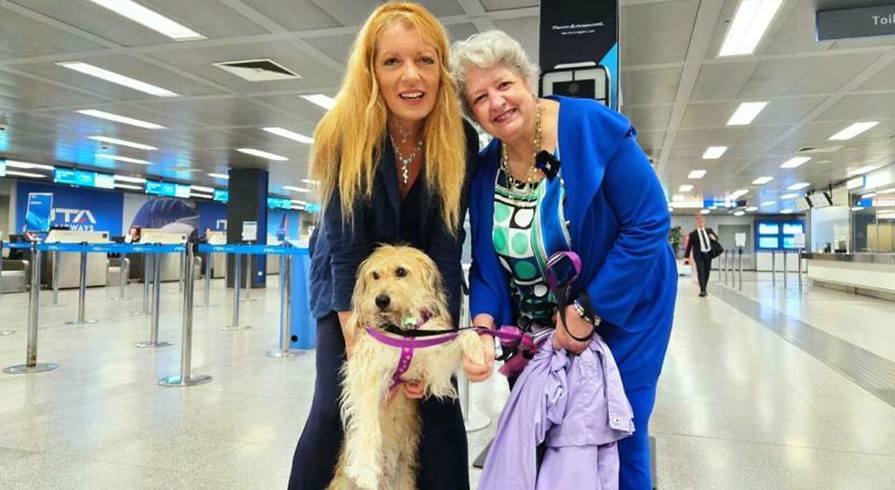 https://statics.cedscdn.it/photos/MED_HIGH/2025/09/23/9084766_23143723_on._brambilla_aeroporto2.jpg