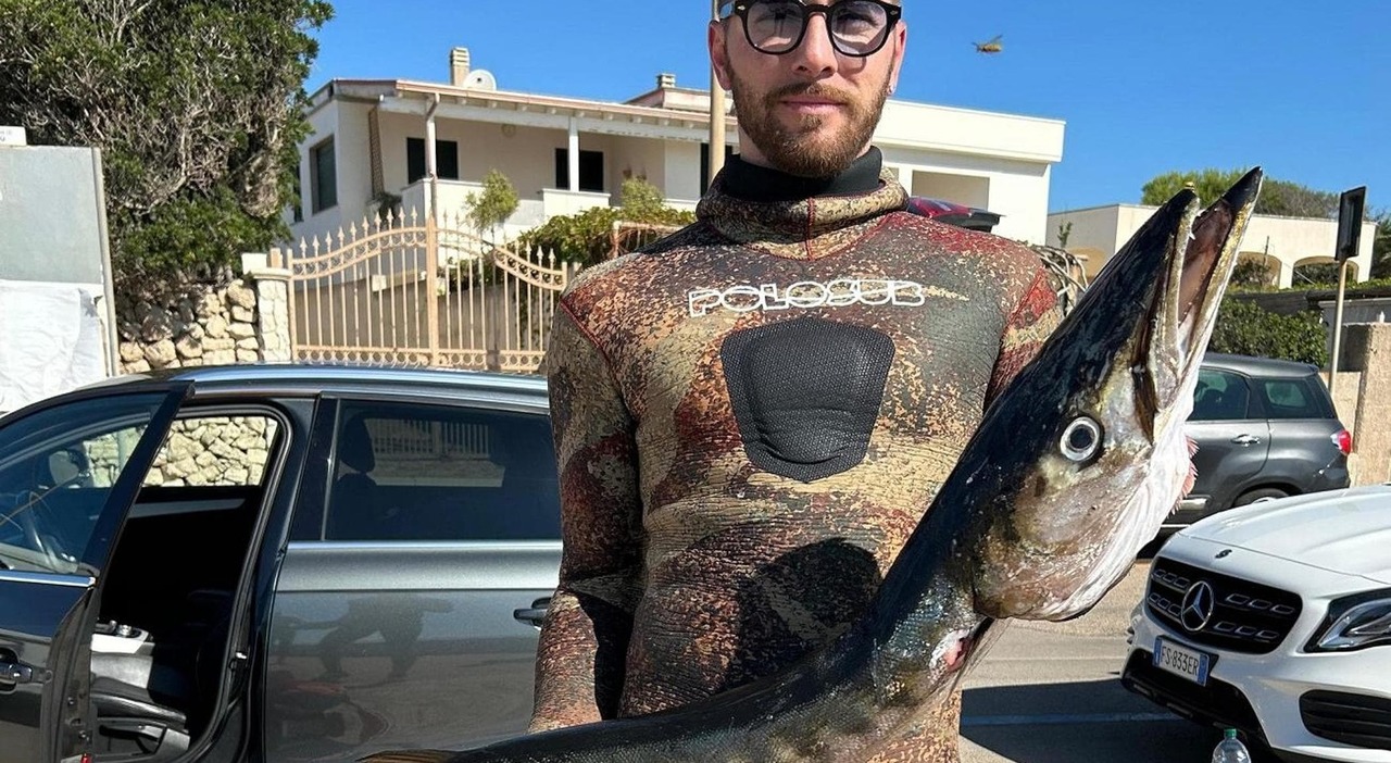 https://statics.cedscdn.it/photos/MED_HIGH/2025/09/25/9089251_25163049_barracuda_sette_chili_pesca.jpg